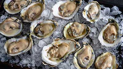 Oyster Nutrition