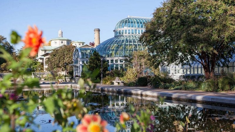 Discover the Beauty of Brooklyn Botanic Garden